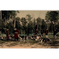 FONTAINEBLEAU: chasse à courre en forêt de fontainebleau, la meutte au rendez-vous - très bon état