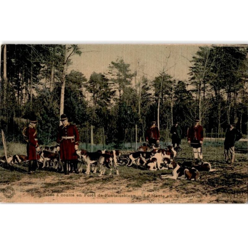 FONTAINEBLEAU: chasse à courre en forêt de fontainebleau, la meutte au rendez-vous - très bon état