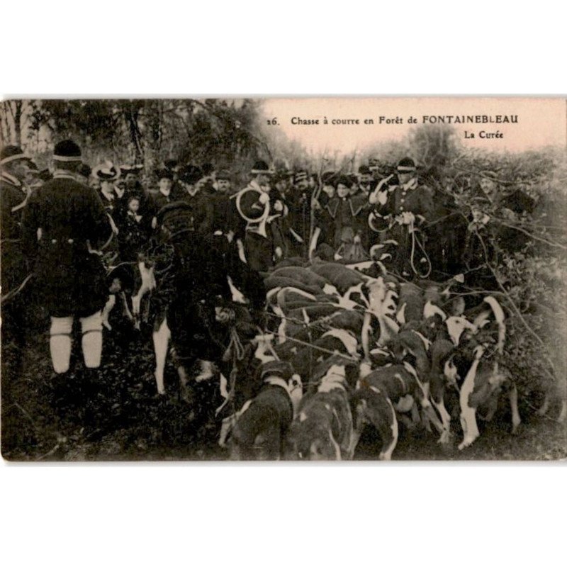 FONTAINEBLEAU: chasse à courre en forêt de fontainebleau la curée - très bon état