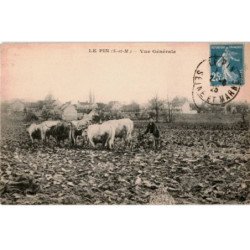 LE PIN: vue générale - très bon état