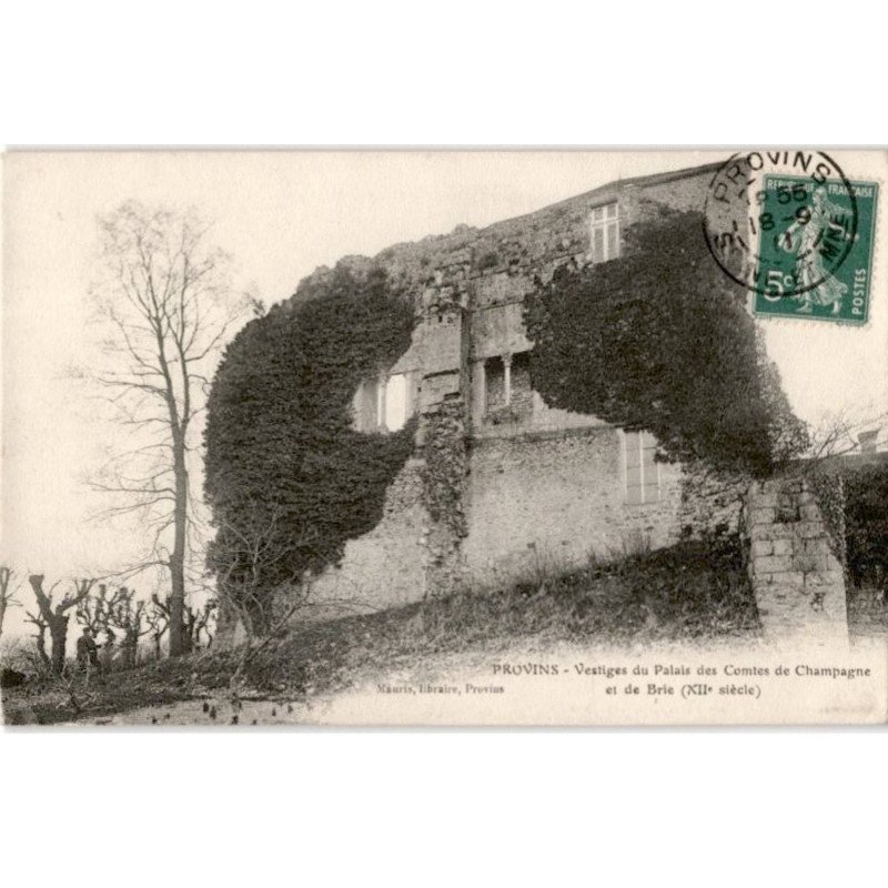 PROVINS: vestiges du palais des comtes de champagne et de brie XIIe siècle - très bon état PROVINS: vestiges du palais des comtes de champagne et de brie XIIe siècle - très bon état