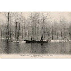 SEINE-PORT: l'inondation 27 janvier 1910 bois de la guiche - très bon état