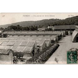 THOMERY: vue générale des serres salomon - très bon état