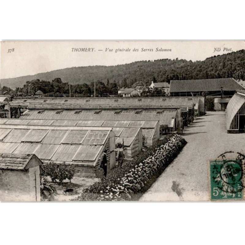 THOMERY: vue générale des serres salomon - très bon état