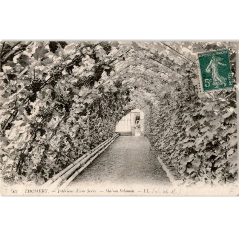 THOMERY: intérieur intérieur d'une serre, maison salomon - très bon état