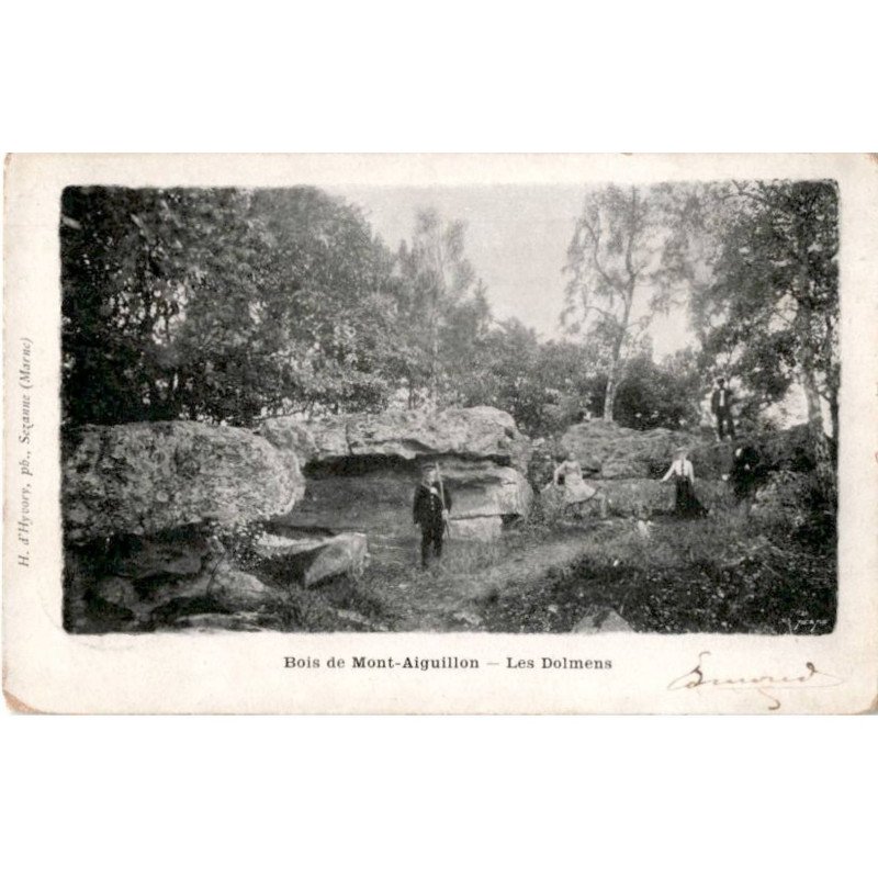 VILLIERS-SAINT-GEORGES: bois de mont-aiguillon, les dolmens - état