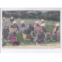 PLOUGASTEL: cutull ar sivi, culture des fraises, rare en couleur - très bon état