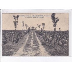 VERTHEUIL: abel esprimo cru du clos du pin franc lugagnac - très bon état