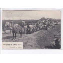 MAQUELINE de MACAU: trams de vendangeurs se rendant au travail - très bon état