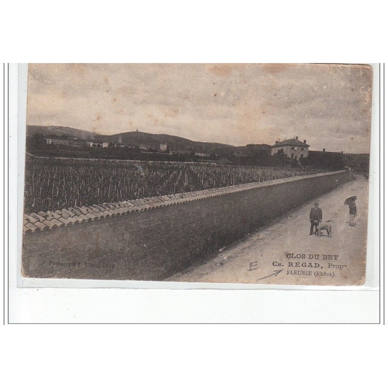 FLEURIE - Clos du Bry - état (traces)