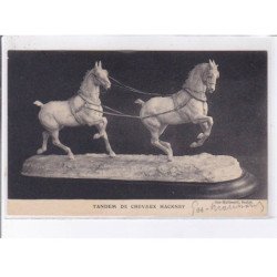 NORD: tandem de chevaux hackney, autographe - très bon état