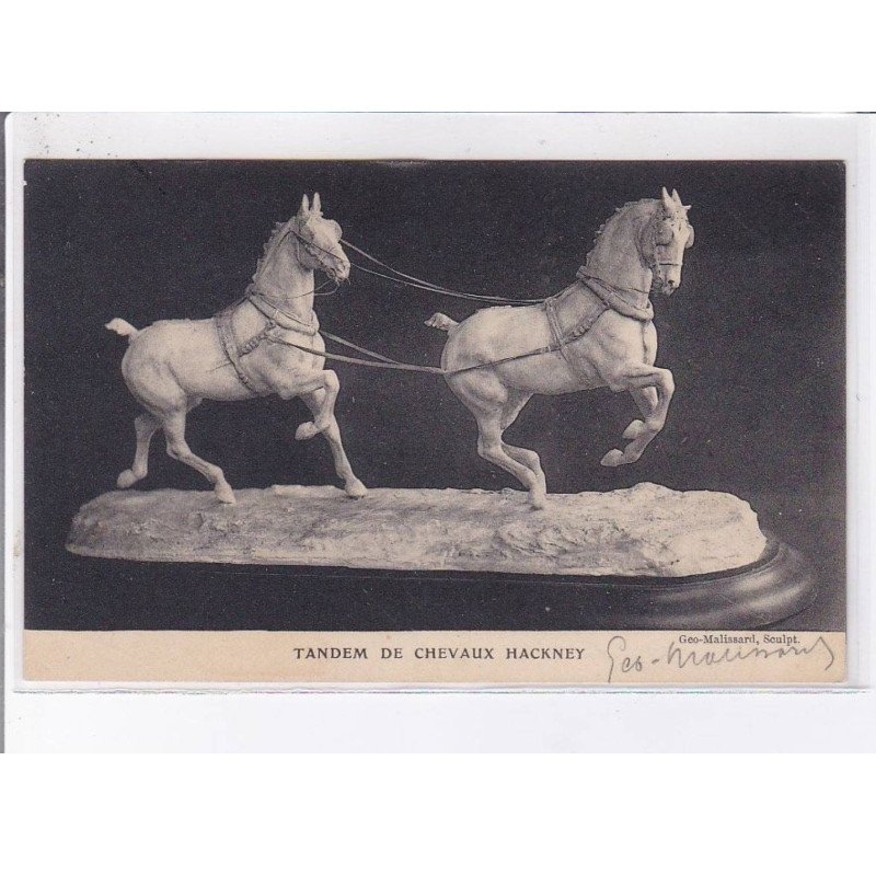 NORD: tandem de chevaux hackney, autographe - très bon état