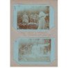 Coupe GORDON BENNET 1905 : lot de 5 cartes photos dans les pages d'album d'origine (course automobile) - très bon état