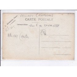 MELISEY: avallon, personnages costumés, chevaux, vélos, cavalcade - très bon état