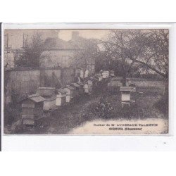 SIREUIL: rucher de M. Augeraud Valentin - état