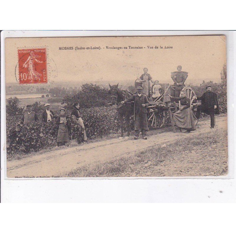 MOSNES: vendanges en touraine vue de la loire - état