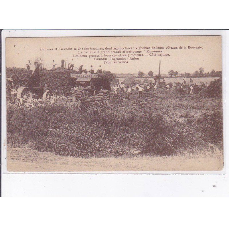 BOUVRAIE: cultures H. Grandin vignobles de leurs côteaux de la bouvraie - très bon état
