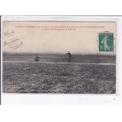 LOIRET: la chasse aux alouettes dont la capture se fait dans le centre de la france capture des oiseaux - très bon état