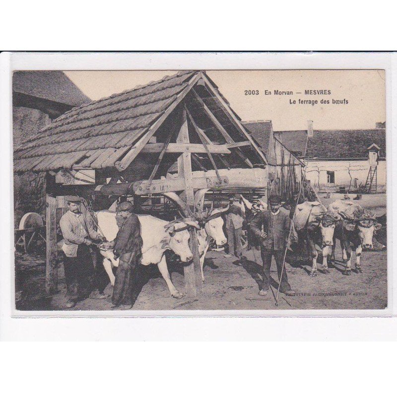 MESVRES - En Morvan - Le ferrage des boeufs - état