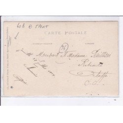 JOINVILLE-le-PONT: sport, le saut droit dans la fosse - très bon état