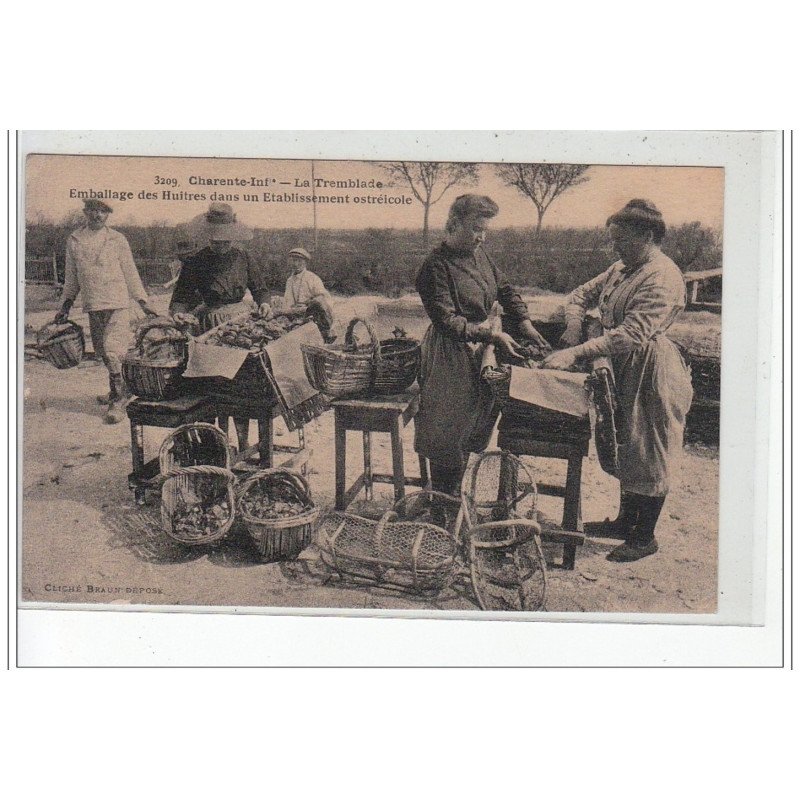 LA TREMBLADE - Emballage des huîtres dans un établissement ostréicole - très bon état