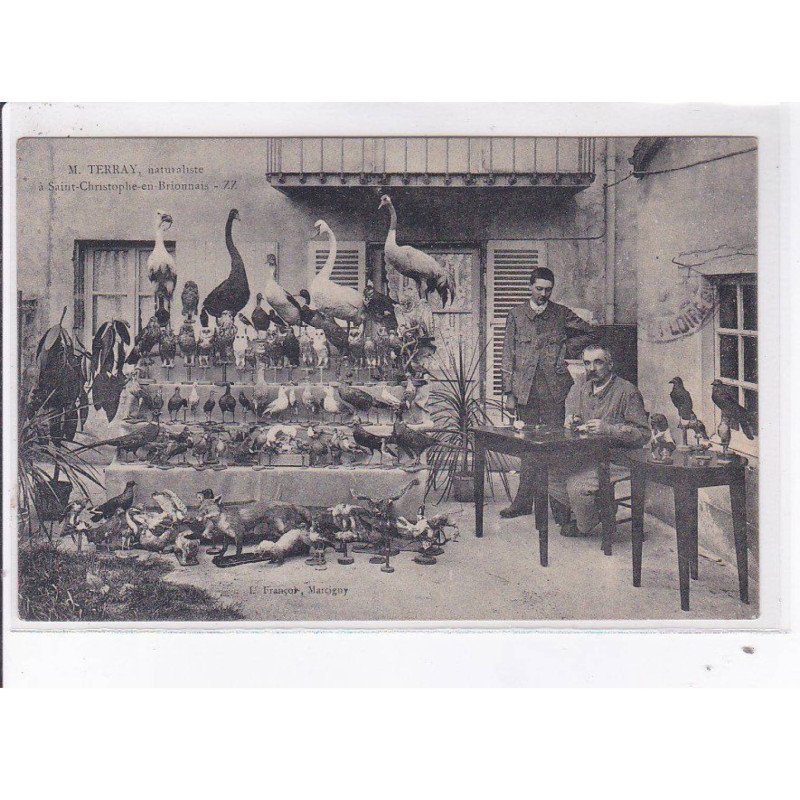SAINT-CHRISTOPHE-en-BRIONNAIS: m. terray naturaliste - très bon état