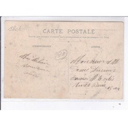 SAINT-CHRISTOPHE-en-BRIONNAIS: m. terray naturaliste - très bon état