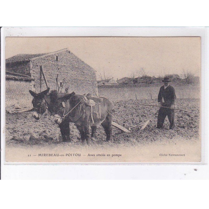 MIREBEAU-en-POITOU: anes attelés en pompe - très bon état MIREBEAU-en-POITOU: anes attelés en pompe - très bon état