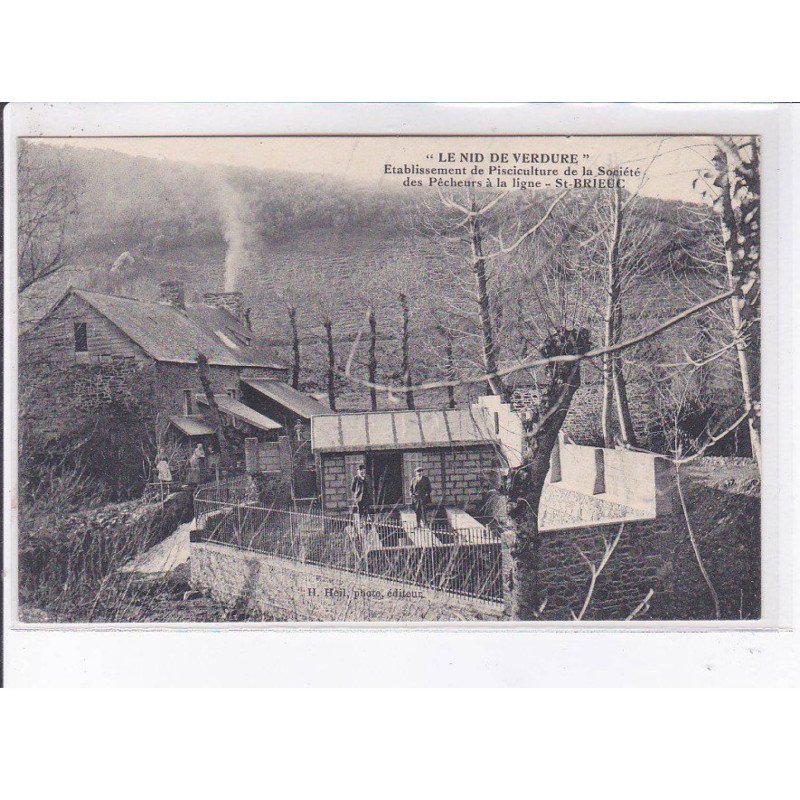 SAINT-BRIEUC: le nid de verdure - très bon état