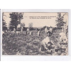 PERIGORD: scènes de la vie champètre la récolte des pommes de terre - très bon état