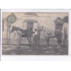 EURE ET LOIRE: vue de beauce, tondeurs de chevaux - très bon état