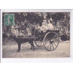 BOURGEUIL: voiture à chien, curiosité du pays, attelage de lluxe - très bon état