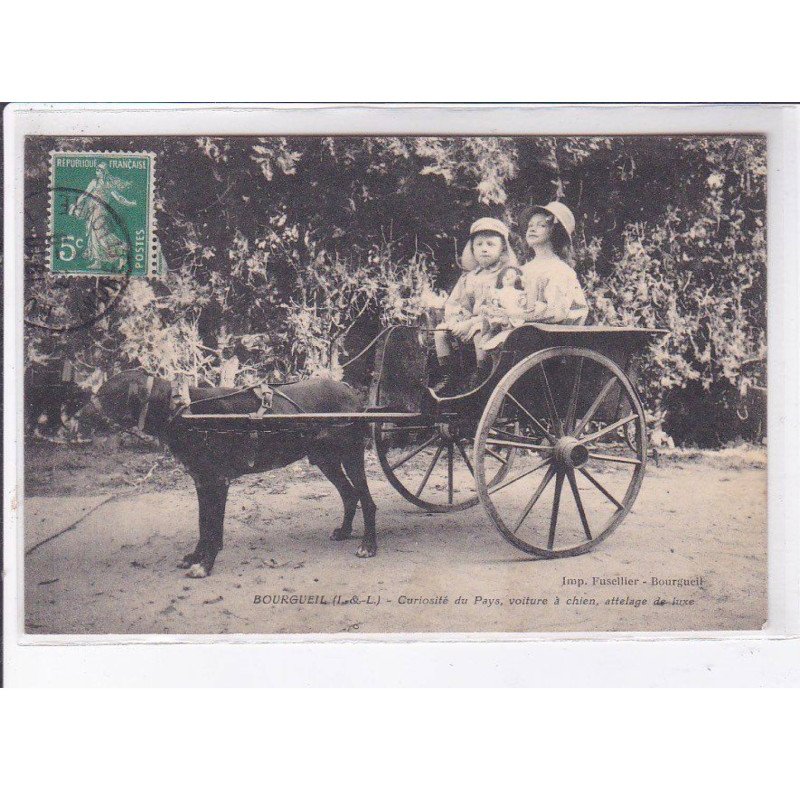 BOURGEUIL: voiture à chien, curiosité du pays, attelage de lluxe - très bon état