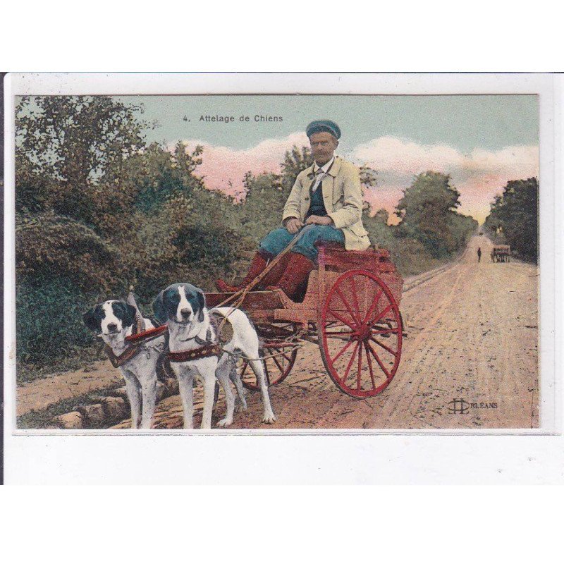 LOIRET: attelage de chiens - très bon état