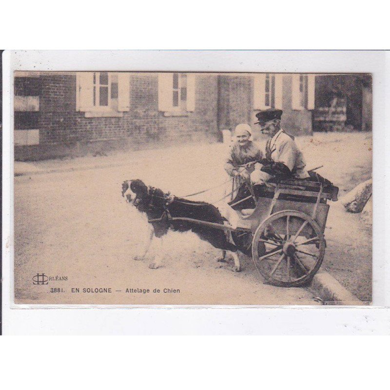 EN SOLOGNE: attelage de chien - très bon état