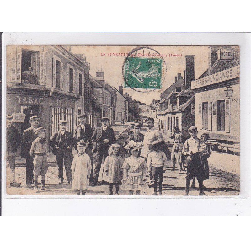 CHATILLON-COLLIGNY: le puyrault - état