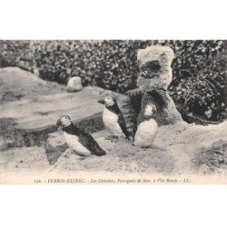 PERROS GUIREC - Les Calculots, Perroquets de Mer, à l'Ile Rouzic - très bon état
