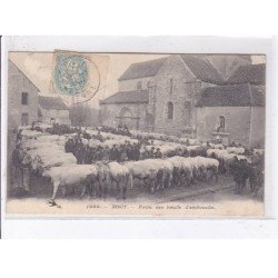 ROUY: foire des boeufs d'embouche - état