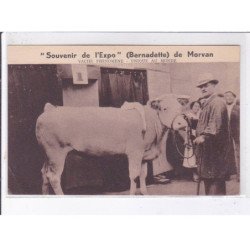NIEVRE: souvenir de l'expo bernadette de morvan vache phénomène unique au monde - état