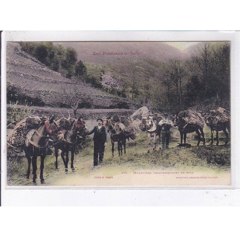 PYRENEE-ORIENTAL: muletier transporteurs de bois - très bon état