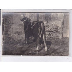 CASTELNOU: lot de 14CPA visite du maréchal joffre - très bon état