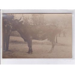 CASTELNOU: lot de 14CPA visite du maréchal joffre - très bon état