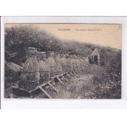 FELENNE: un rucher dans les bois - très bon état