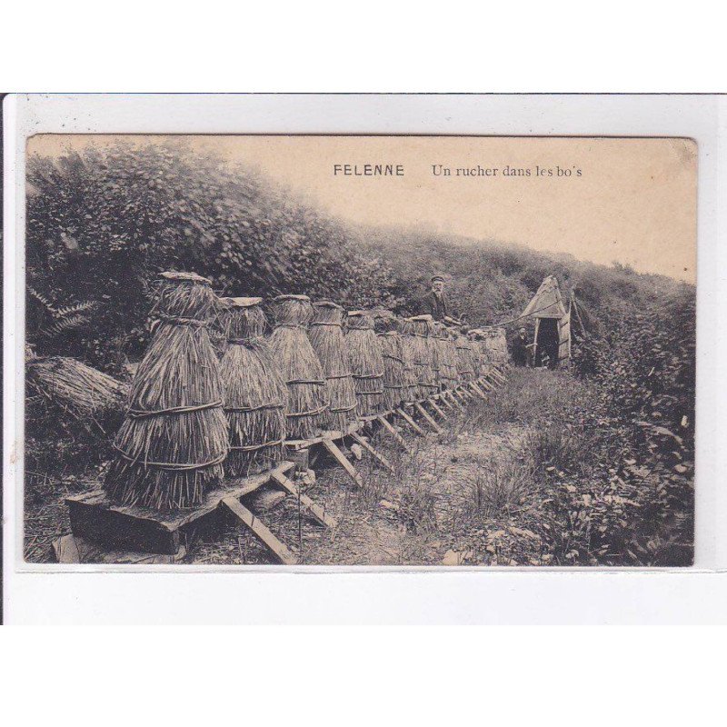 FELENNE: un rucher dans les bois - très bon état