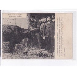 SAINT-HILAIRE-CUSSON-la-VALMITE: extraordinaire cas de fécondité 15 novembre 1910 - très bon état