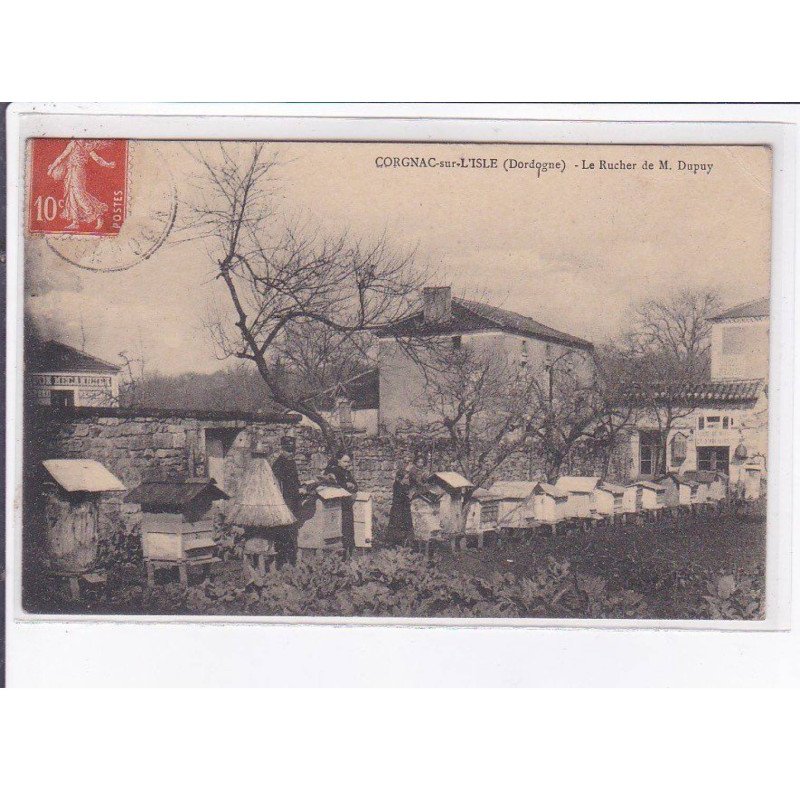 CORGNAC-sur-L'ISLE: le rucher de M. Dupuy - état