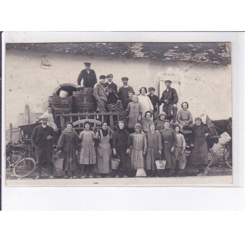 COURS-CHEVERNY(?): vendanges - très bon état