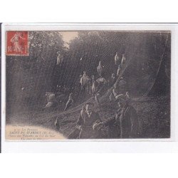 SAINT-PE-D'ARDET: chasse aux palombes au col du haut un coup de filet - état