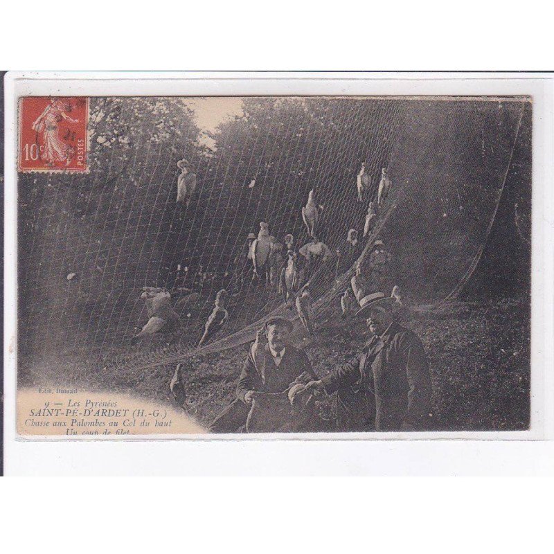 SAINT-PE-D'ARDET: chasse aux palombes au col du haut un coup de filet - état