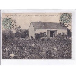 JOUE-lez-TOURS: vendange, la fosse-aux-sangsues - très bon état